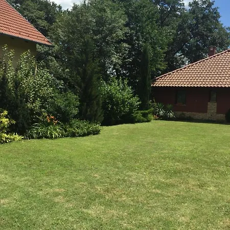 Diana Apartment Balatonszepezd